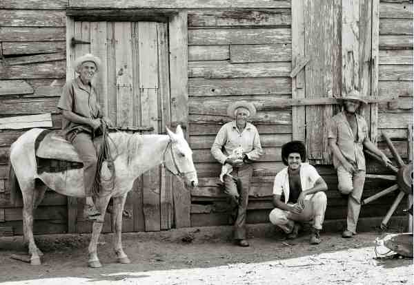 Four Farmers and a Mule Viñales